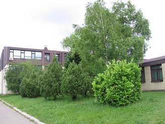 slika skole zadnji ulaz